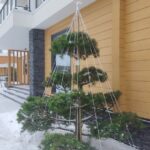 Юкицури — защита деревьев от снега, японский метод
